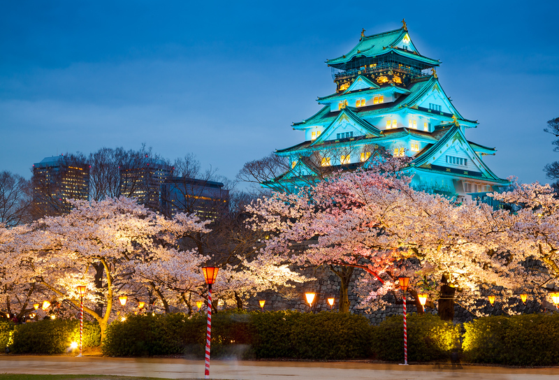Osaka Castle with cherry blossoms